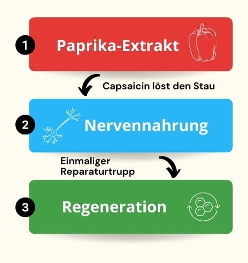 Grafik Ablauf des 2-Stufen-Wirkprinzips