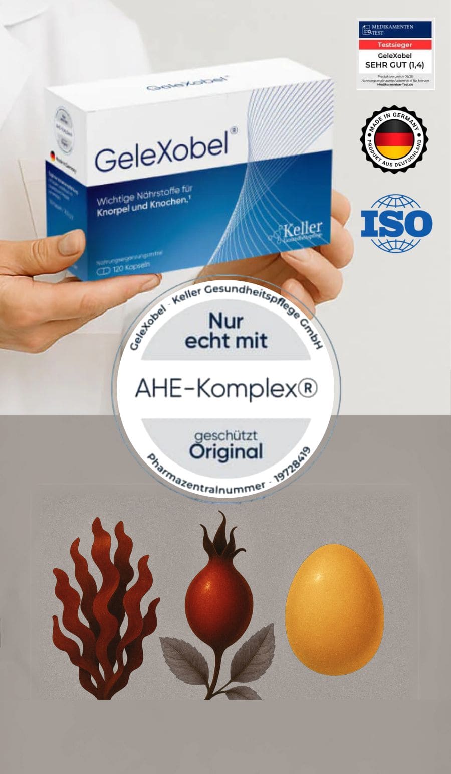 Gelexobel Packshot mit AHE-Komplex Siegel und Inhaltsstoff-Symbolen (Alge, Hagebutte, Ei)