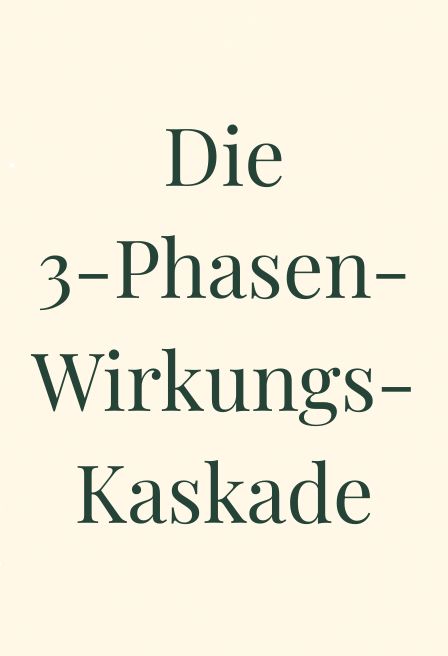 Titel der Infografik: Die 3-Phasen-Wirkungs-Kaskade