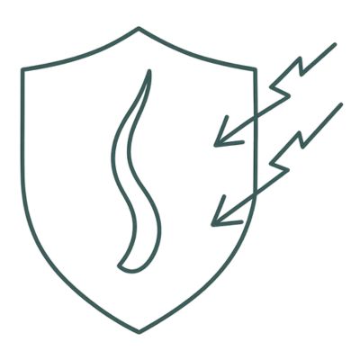 Icon Schutzschild