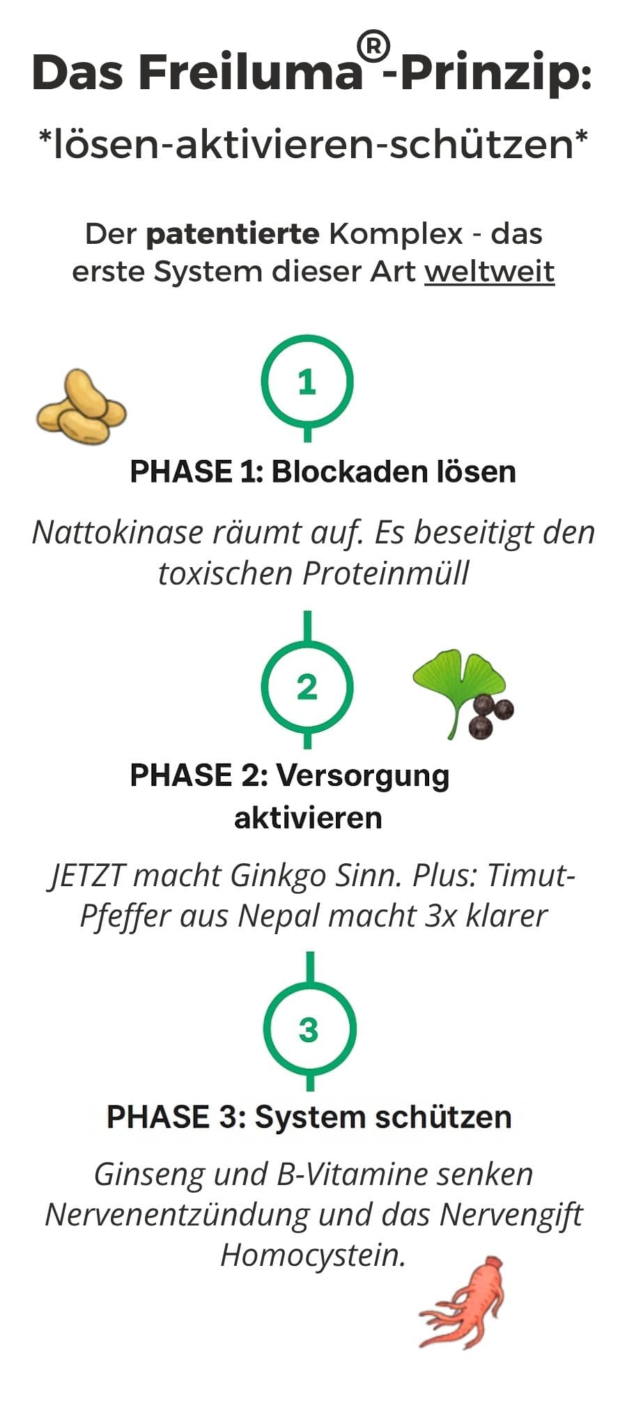 Das Freiluma-Prinzip: 3-Phasen-System – Blockaden lösen, Versorgung aktivieren, System schützen