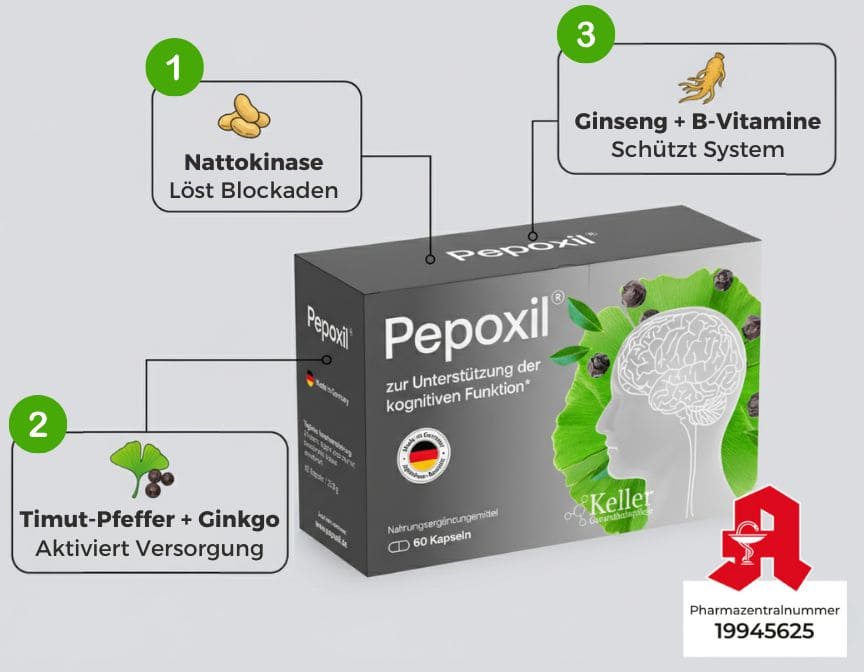 Timut-Pfeffer & Ginkgo – aktiviert die Versorgung