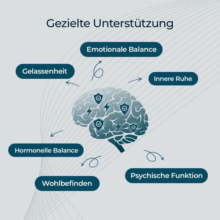 Gezielte Unterstützung