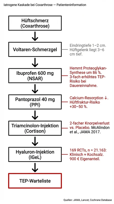 Infografik: Iatrogene Kaskade bei Coxarthrose