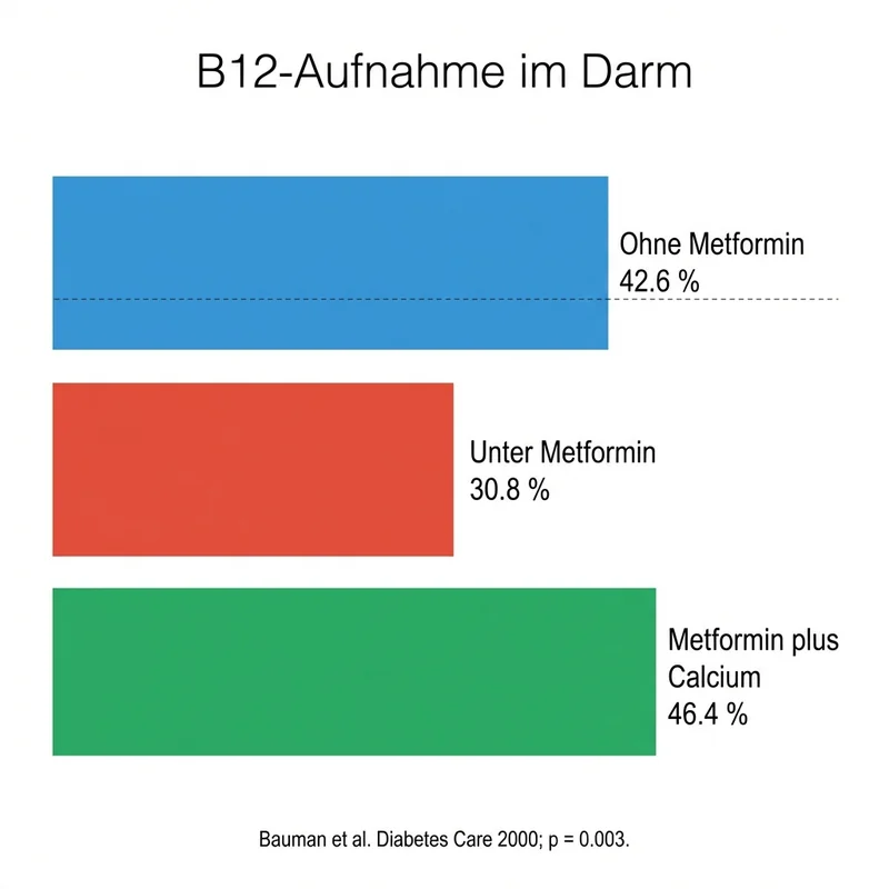 Balkendiagramm: B12-Aufnahme 42,6% → 30,8% → 46,4% mit Calcium