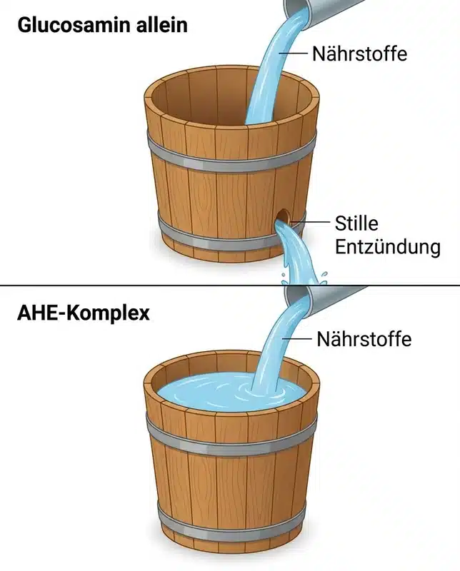 Eimer-Metapher: Ohne AHE-Komplex vs. Mit AHE-Komplex — Entzündungshemmung und Knorpelschutz