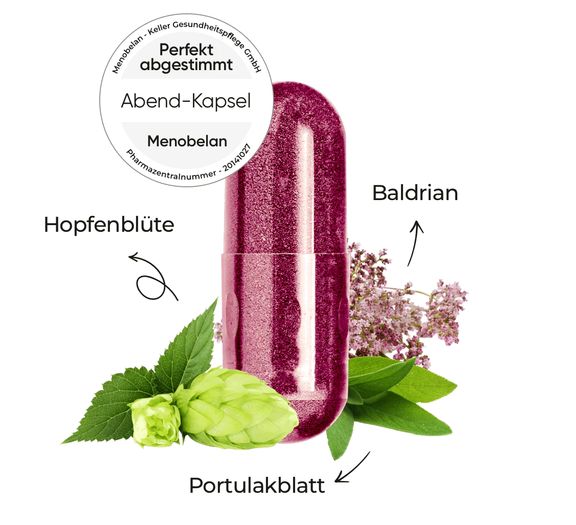 Menobelan Abend-Kapsel (violett)