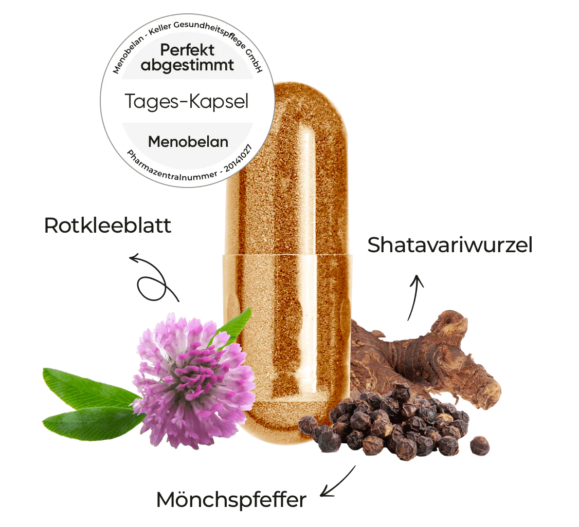 Menobelan Morgen-Kapsel (orange)
