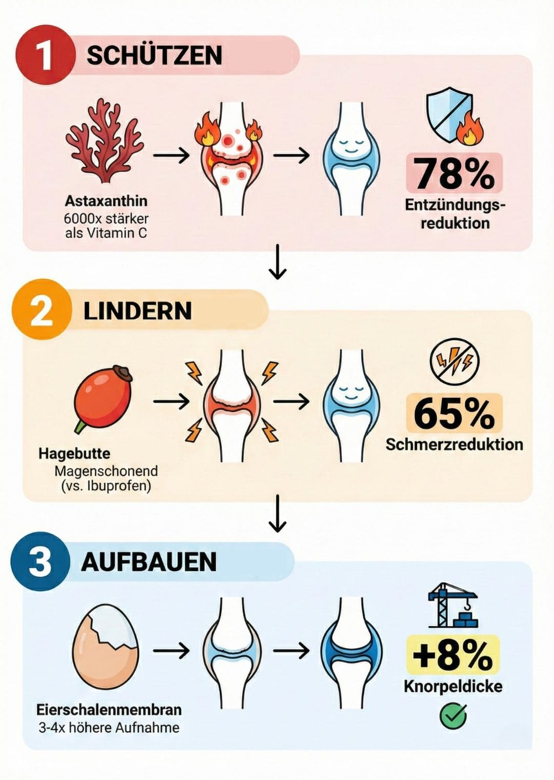 Infografik: 3-Stufen-Mechanismus - Schützen, Lindern, Aufbauen