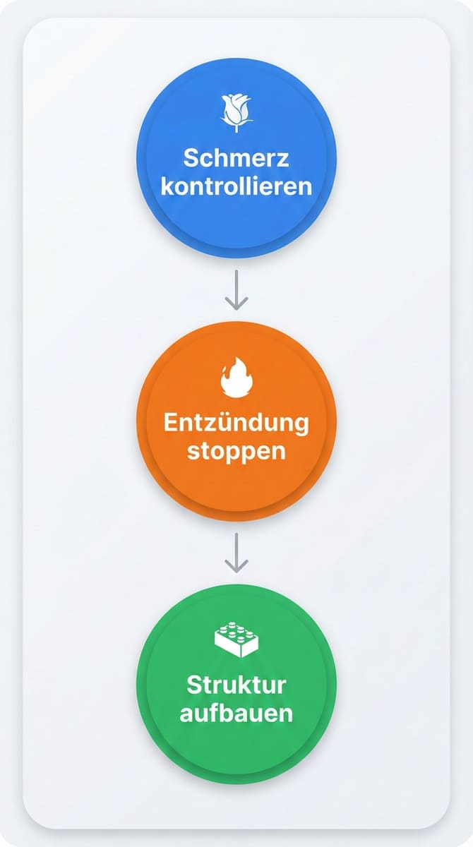 Das 3-Fronten-Protokoll