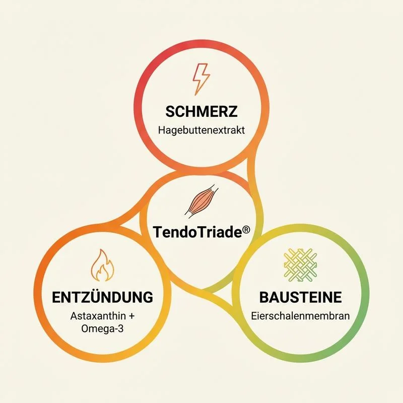 TendoTriade - Die drei Fronten