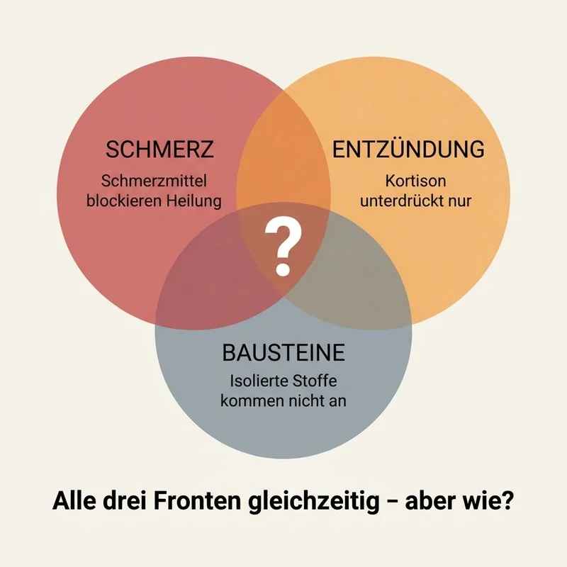 Das Drei-Fronten-Problem
