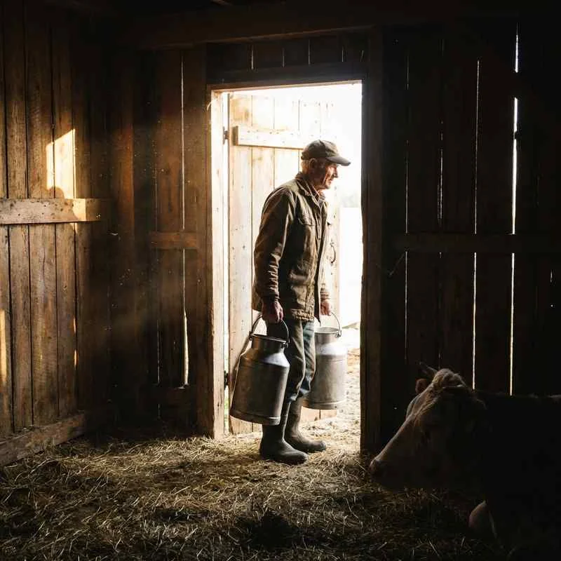 Bergbauer mit starken Händen im Stall