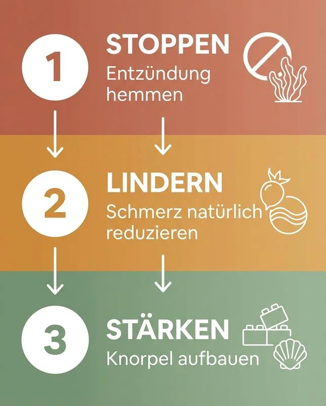 3-Stufen-System Infografik