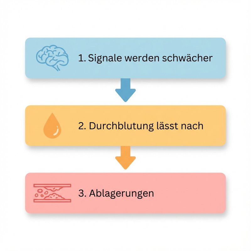 Die 3 Probleme des geistigen Abbaus