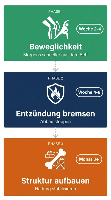 AHE-Komplex 3-Phasen-System: Beweglichkeit, Entzündung bremsen, Struktur aufbauen